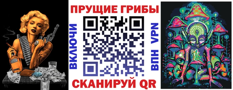 гидра tor  даркнет сайт  Новосиль  Галлюциногенные грибы Psilocybe 